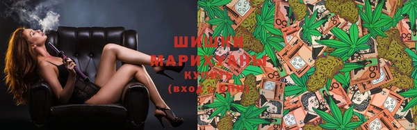 прущий лед Новозыбков