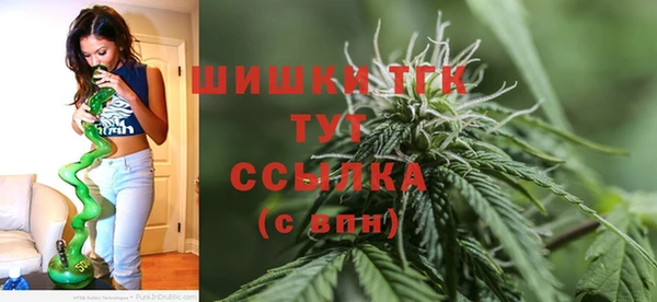 сатива Алексеевка