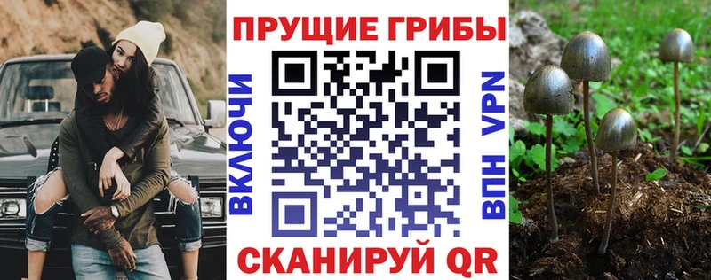 shop Telegram  даркнет сайт  Нелидово  Галлюциногенные грибы мицелий 
