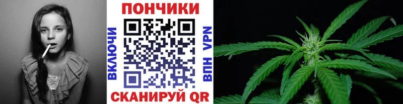 Канабис OG Kush Нелидово